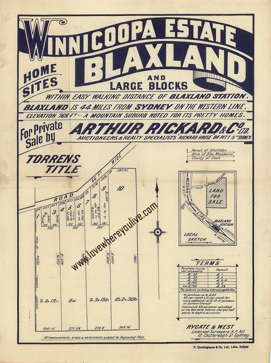 Vintage Real Estate Poster Winnicoopa Estate Blaxland NSW