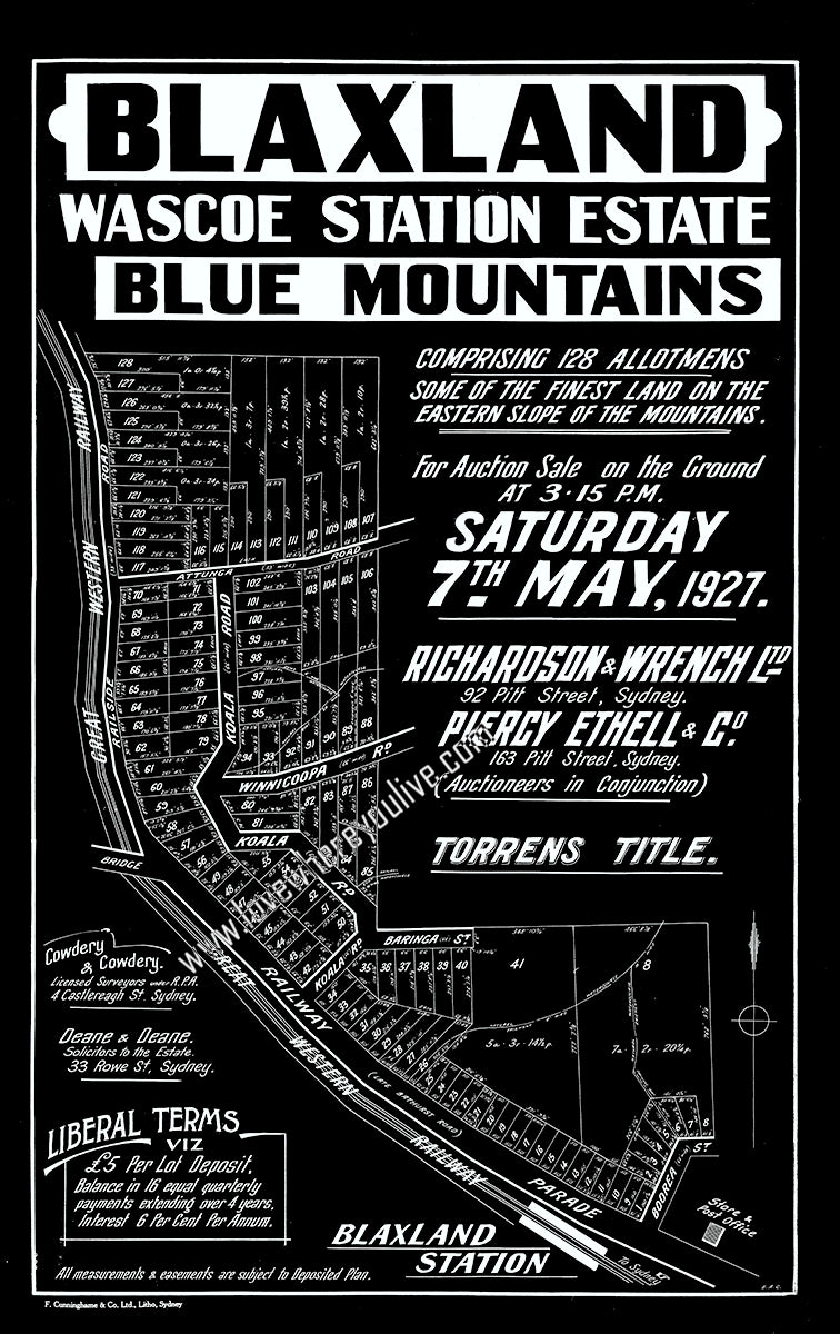 Vintage Real Estate Poster Wascoe Station Estate Blaxland NSW