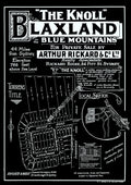 Vintage Real Estate Poster "The Knoll" Blaxland NSW