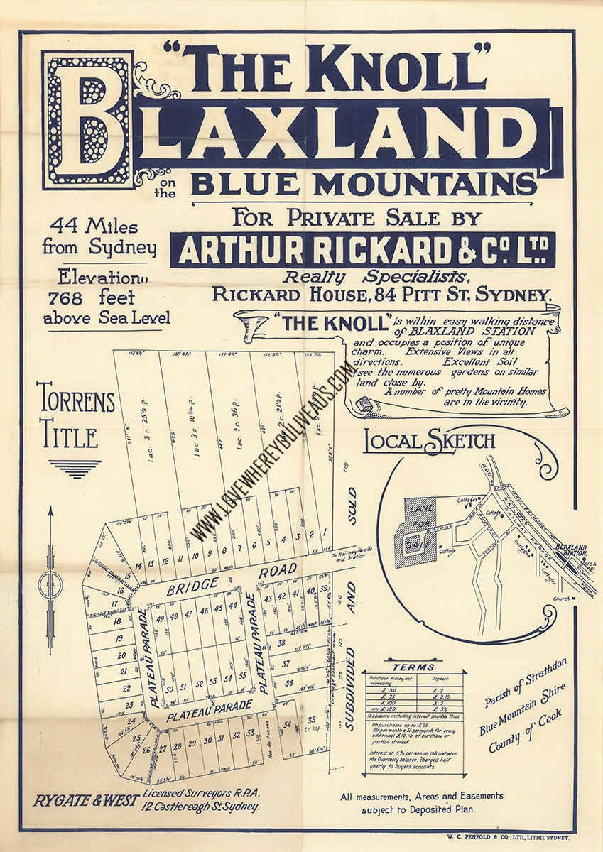 Vintage Real Estate Poster "The Knoll" Blaxland NSW