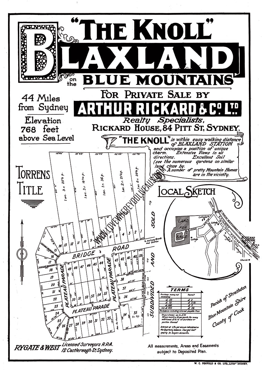 Vintage Real Estate Poster "The Knoll" Blaxland NSW