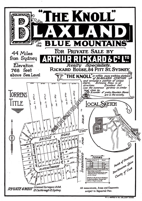 Vintage Real Estate Poster "The Knoll" Blaxland NSW