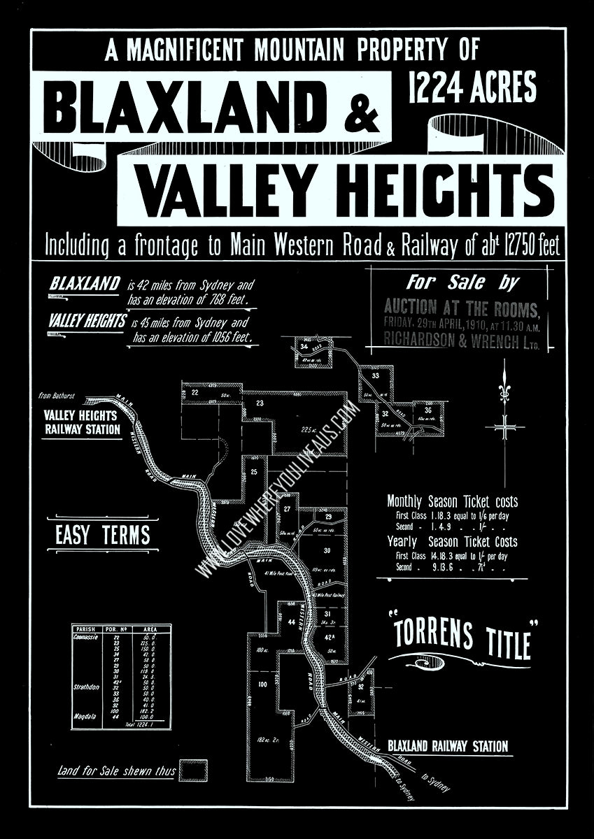 Vintage Real Estate Poster Magnificent Mountain Property of Blaxland NSW