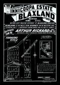Vintage Real Estate Poster #2 Winnicoopa Estate Blaxland NSW
