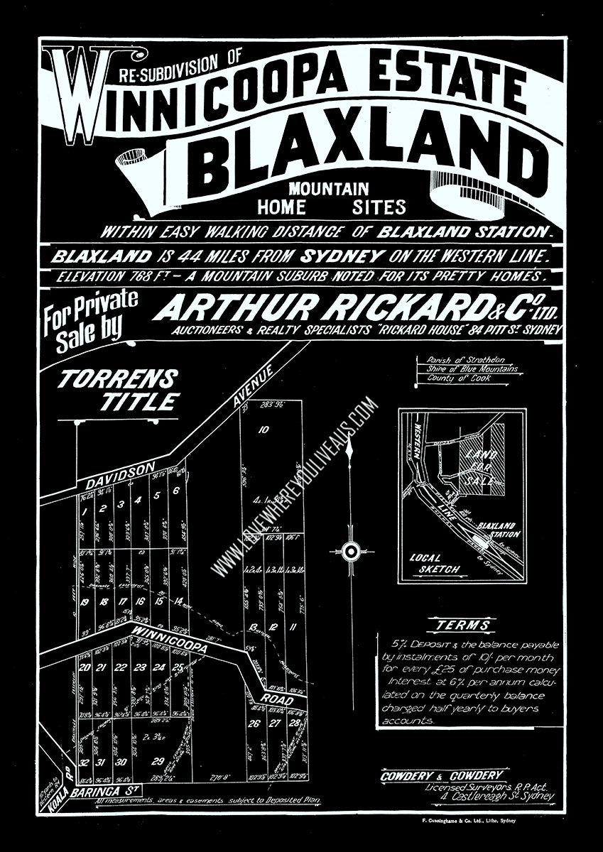 Vintage Real Estate Poster #2 Winnicoopa Estate Blaxland NSW