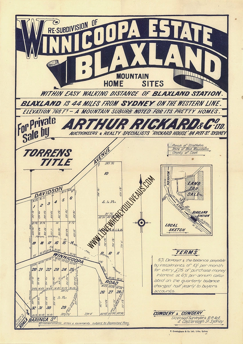 Vintage Real Estate Poster #2 Winnicoopa Estate Blaxland NSW