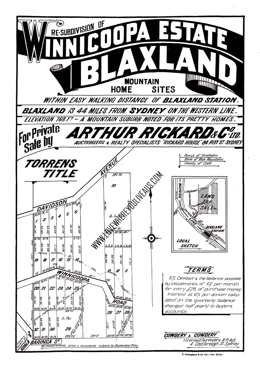 Vintage Real Estate Poster #2 Winnicoopa Estate Blaxland NSW