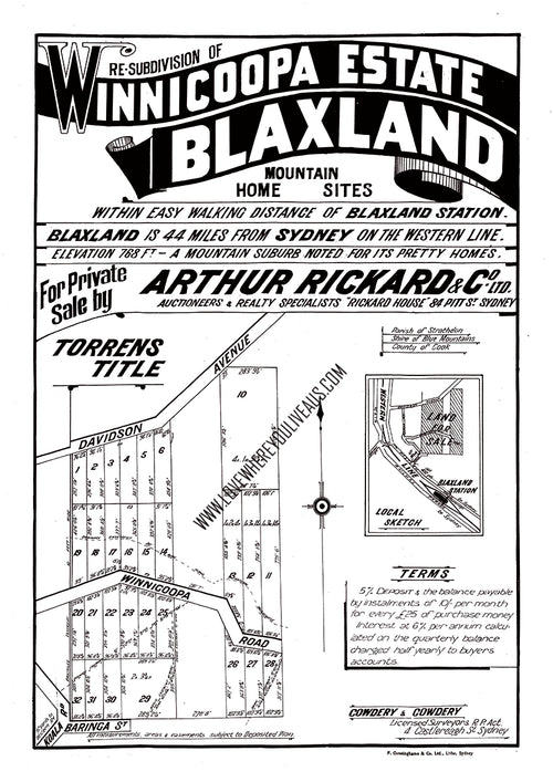 Vintage Real Estate Poster #2 Winnicoopa Estate Blaxland NSW
