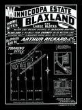 Vintage Real Estate Poster Winnicoopa Estate Blaxland NSW