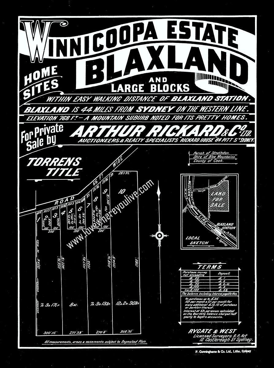 Vintage Real Estate Poster Winnicoopa Estate Blaxland NSW