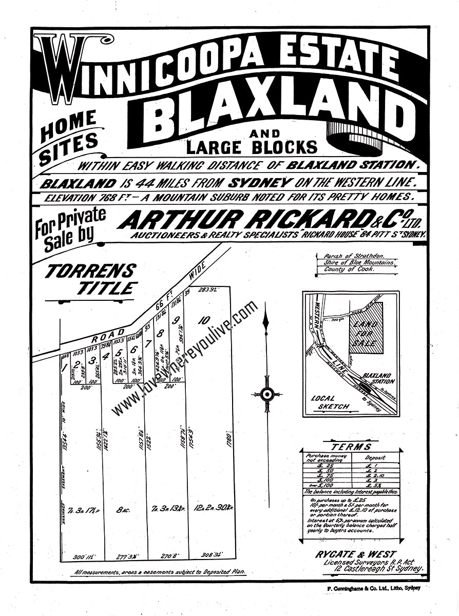 Vintage Real Estate Poster Winnicoopa Estate Blaxland NSW