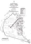 Vintage Real Estate Poster Parish of Bondi Map