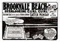 Vintage Real Estate Poster Brookvale Beach overlooking Curl Curl