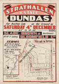 Vintage Real Estate Poster Strathaleen Estate Dundas NSW