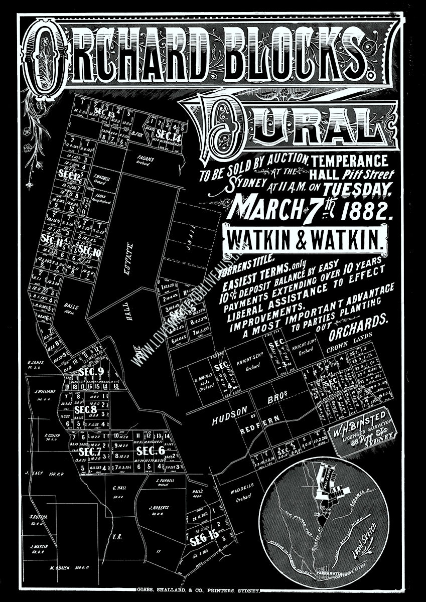 Vintage Real Estate Poster Orchard Blocks Dural NSW