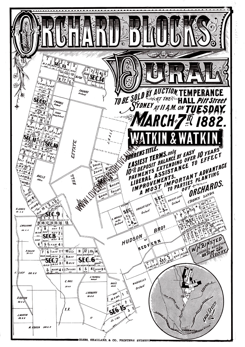 Vintage Real Estate Poster Orchard Blocks Dural NSW