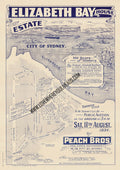 Vintage Real Estate Poster Elizabeth Bay House Estate NSW