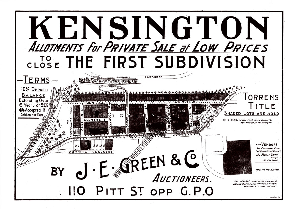 Vintage Real Estate Poster Kensington The First Subdivision NSW
