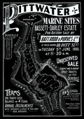 Vintage Real Estate Poster Palmbeach Pittwater Beach Sites NSW