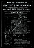 Vintage Real Estate Poster North Springwood Blue Mountains NSW