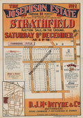 Vintage Real Estate Poster The Josephson Estate Strathfield NSW
