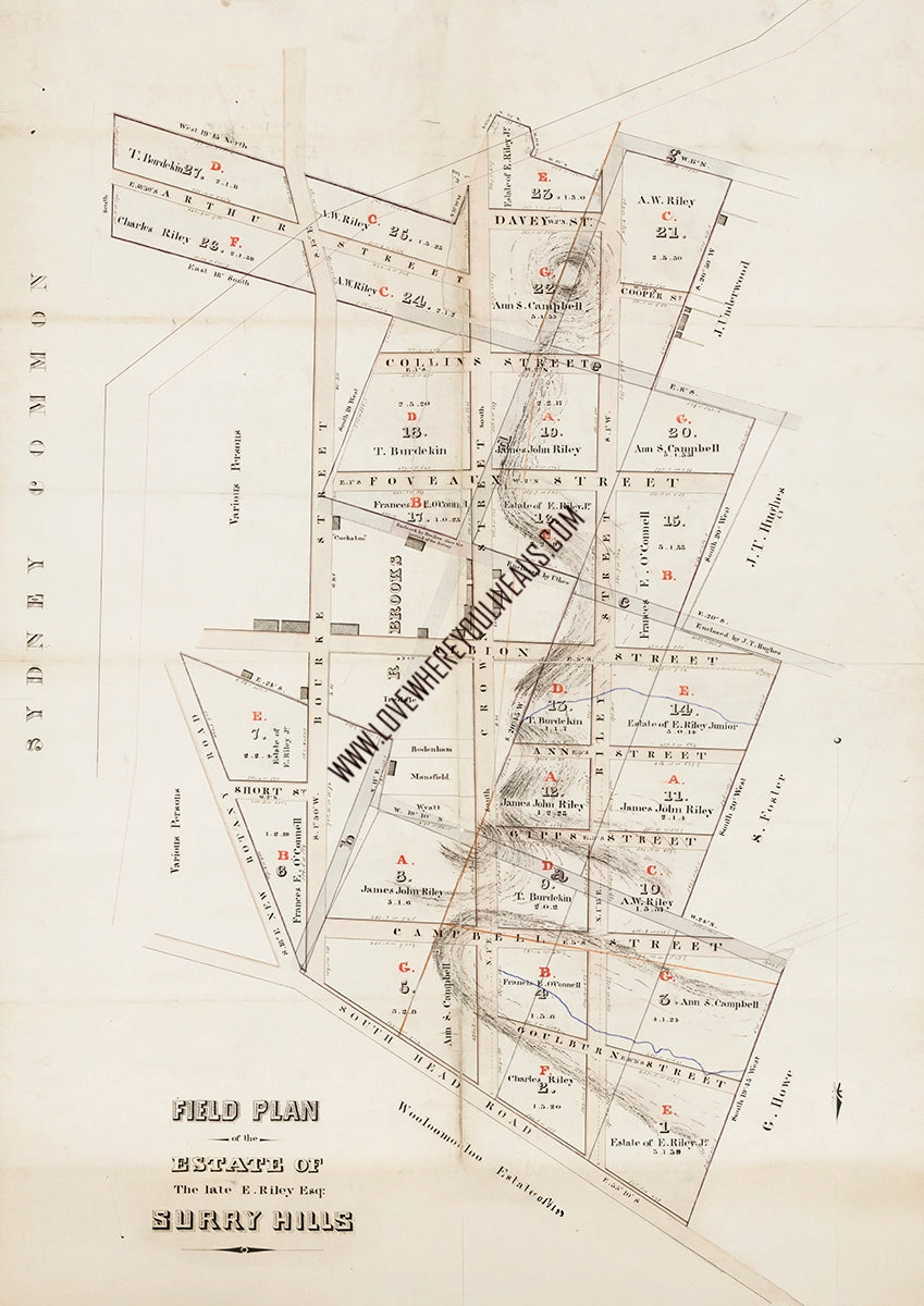 Real Estate Field Plan of Surry Hills NSW